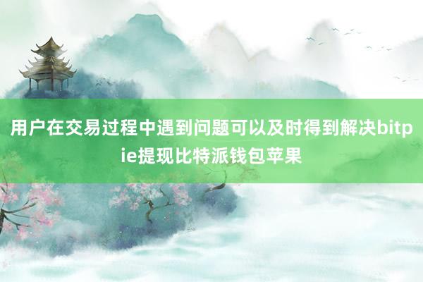 用户在交易过程中遇到问题可以及时得到解决bitpie提现比特派钱包苹果