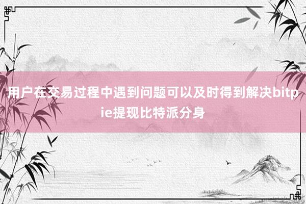 用户在交易过程中遇到问题可以及时得到解决bitpie提现比特派分身