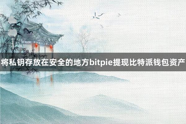 将私钥存放在安全的地方bitpie提现比特派钱包资产