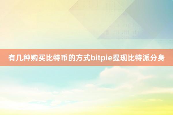 有几种购买比特币的方式bitpie提现比特派分身