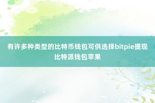 有许多种类型的比特币钱包可供选择bitpie提现比特派钱包苹果