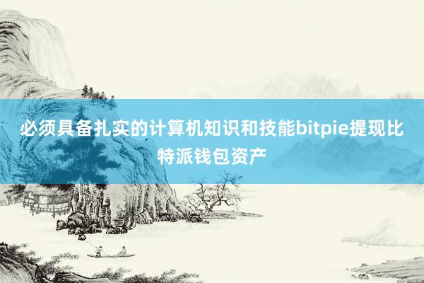 必须具备扎实的计算机知识和技能bitpie提现比特派钱包资产