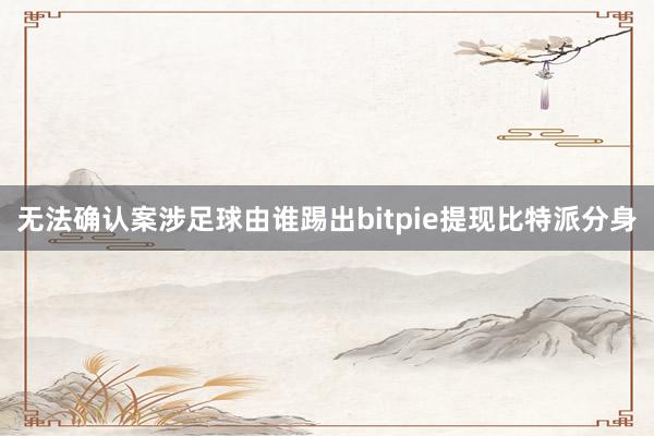 无法确认案涉足球由谁踢出bitpie提现比特派分身