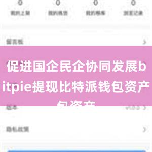 促进国企民企协同发展bitpie提现比特派钱包资产