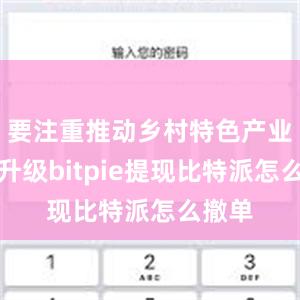 要注重推动乡村特色产业优化升级bitpie提现比特派怎么撤单