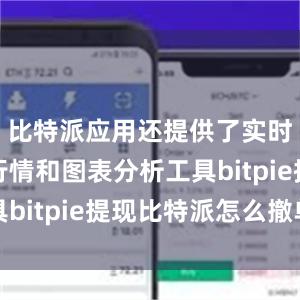 比特派应用还提供了实时的市场行情和图表分析工具bitpie提现比特派怎么撤单