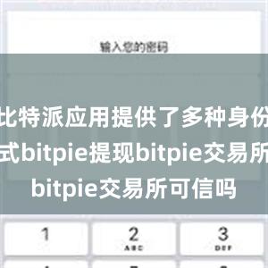 比特派应用提供了多种身份验证方式bitpie提现bitpie交易所可信吗