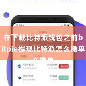 在下载比特派钱包之前bitpie提现比特派怎么撤单