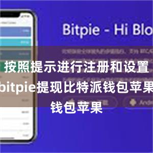 按照提示进行注册和设置bitpie提现比特派钱包苹果