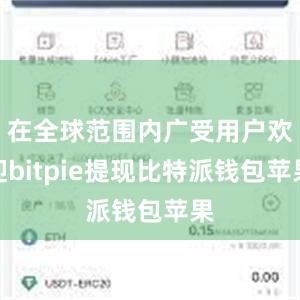 在全球范围内广受用户欢迎bitpie提现比特派钱包苹果