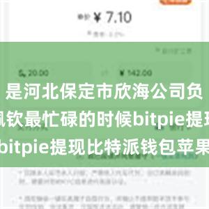 是河北保定市欣海公司负责人杨佩钦最忙碌的时候bitpie提现比特派钱包苹果