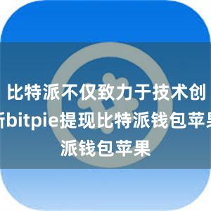 比特派不仅致力于技术创新bitpie提现比特派钱包苹果