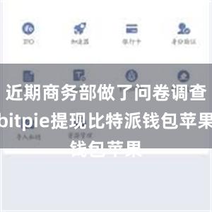 近期商务部做了问卷调查bitpie提现比特派钱包苹果