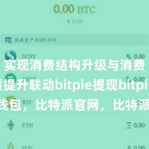 实现消费结构升级与消费品质提升联动bitpie提现bitpie 恢复钱包，比特派官网，比特派钱包，比特派下载