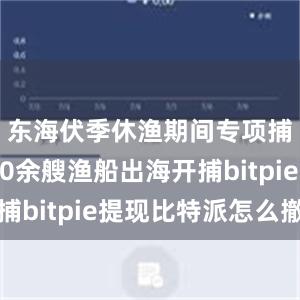 东海伏季休渔期间专项捕捞9600余艘渔船出海开捕bitpie提现比特派怎么撤单