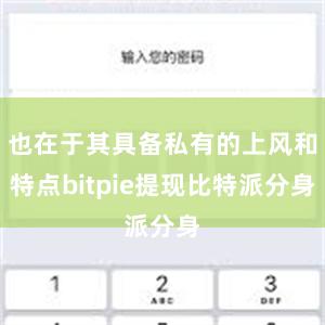 也在于其具备私有的上风和特点bitpie提现比特派分身