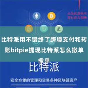 比特派用不错终了跨境支付和转账bitpie提现比特派怎么撤单