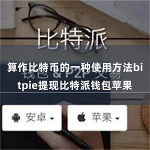 算作比特币的一种使用方法bitpie提现比特派钱包苹果