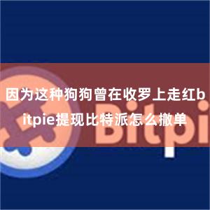 因为这种狗狗曾在收罗上走红bitpie提现比特派怎么撤单