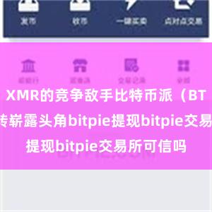 XMR的竞争敌手比特币派（BTC）也运转崭露头角bitpie提现bitpie交易所可信吗