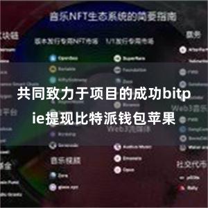 共同致力于项目的成功bitpie提现比特派钱包苹果