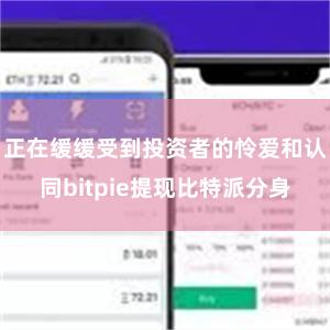 正在缓缓受到投资者的怜爱和认同bitpie提现比特派分身