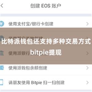 比特派钱包还支持多种交易方式bitpie提现