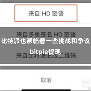 比特派也濒临着一些挑战和争议bitpie提现