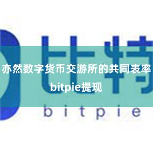 亦然数字货币交游所的共同表率bitpie提现