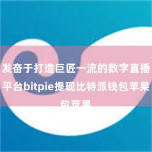 发奋于打造巨匠一流的数字直播平台bitpie提现比特派钱包苹果