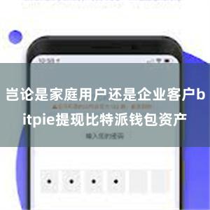 岂论是家庭用户还是企业客户bitpie提现比特派钱包资产