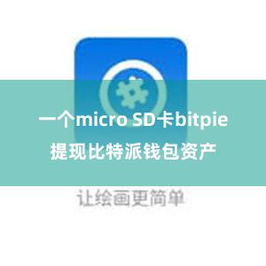 一个micro SD卡bitpie提现比特派钱包资产